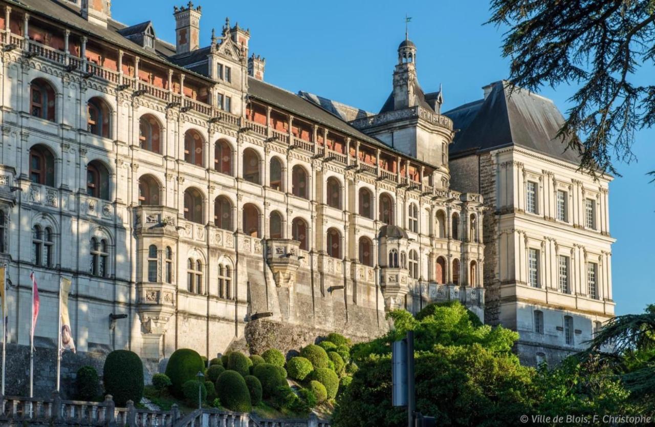 Charmant Appartement Au Coeur De Блуа Экстерьер фото